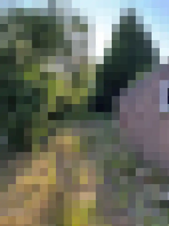 Dijkstraat 10 Sas van Gent thumbnail 20