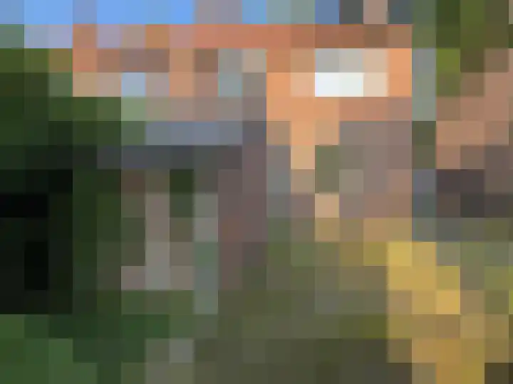 Dijkstraat 10 Sas van Gent thumbnail 21