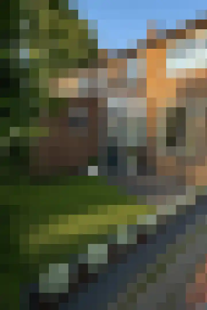 Dijkstraat 10 Sas van Gent thumbnail 22