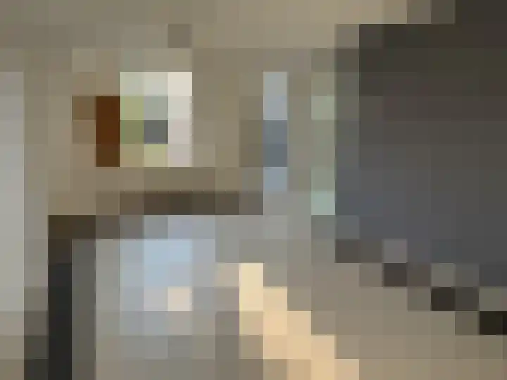 Dijkstraat 10 Sas van Gent thumbnail 4