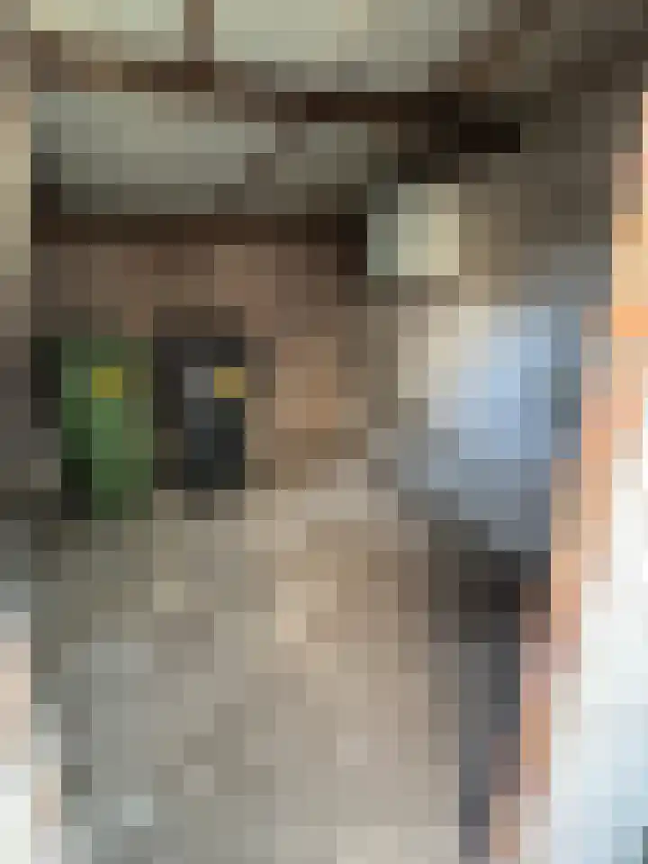 Dijkstraat 10 Sas van Gent thumbnail 7