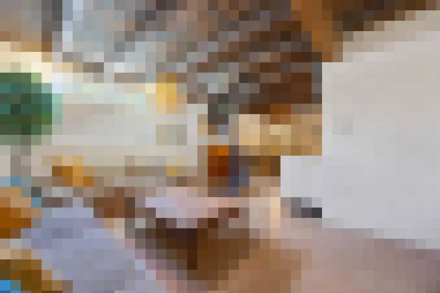Dijkstraat 12 Sprang-Capelle thumbnail 34