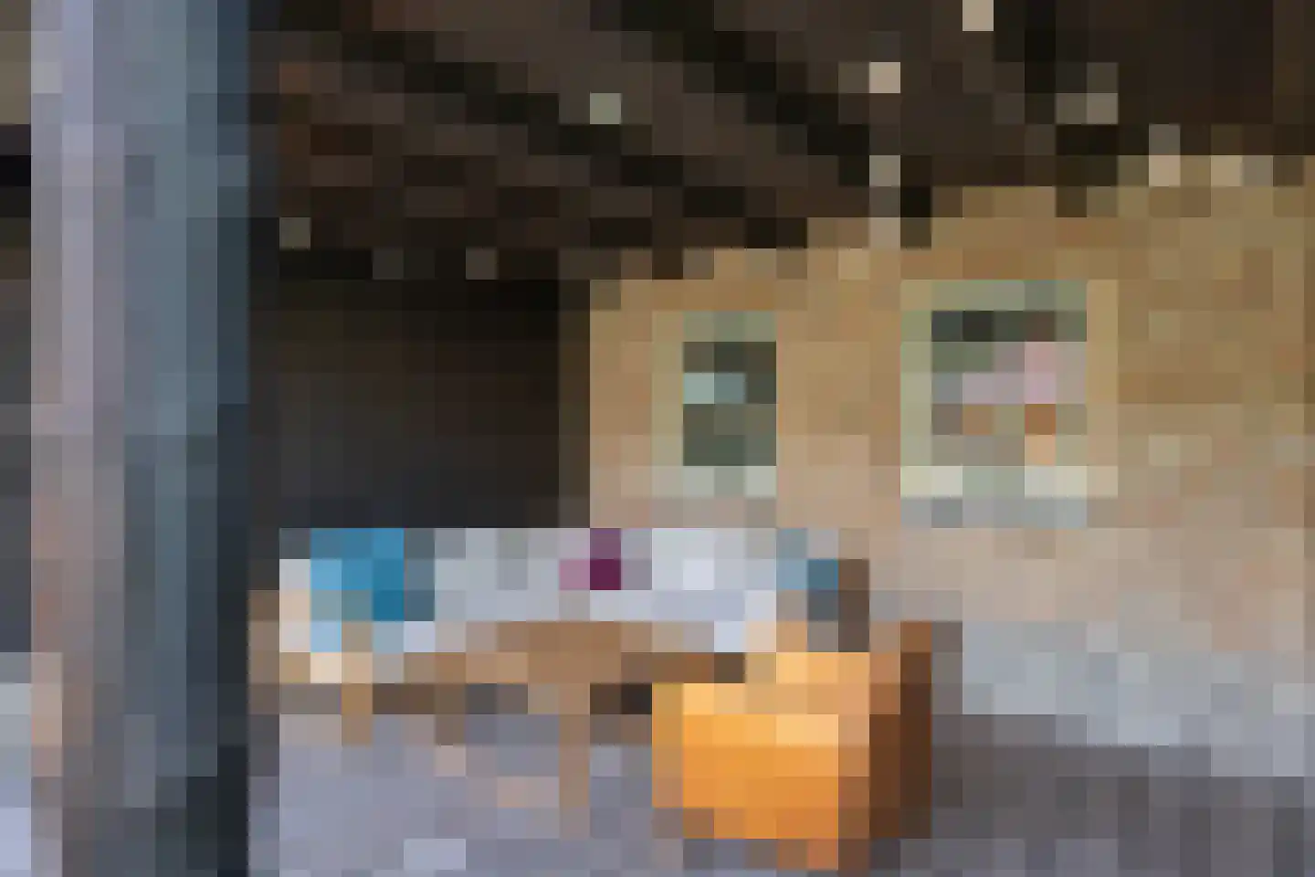 Dijkstraat 12 Sprang-Capelle thumbnail 46