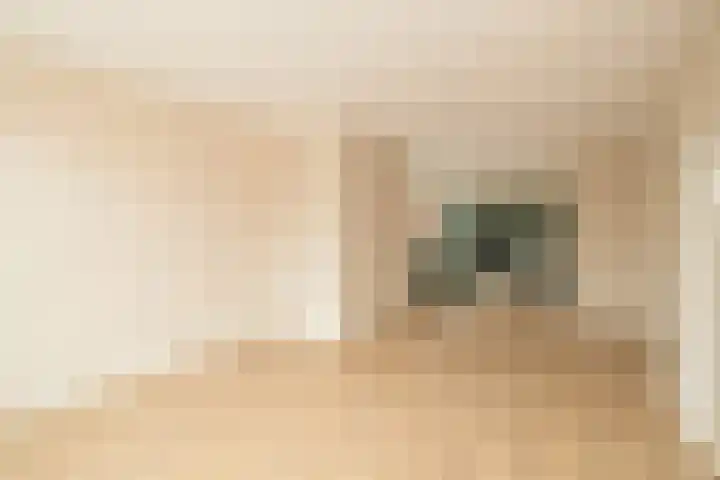 Dijkstraat 15 Honselersdijk thumbnail 8