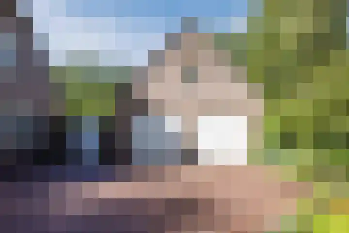 Dijkstraat 16 Nistelrode thumbnail 40