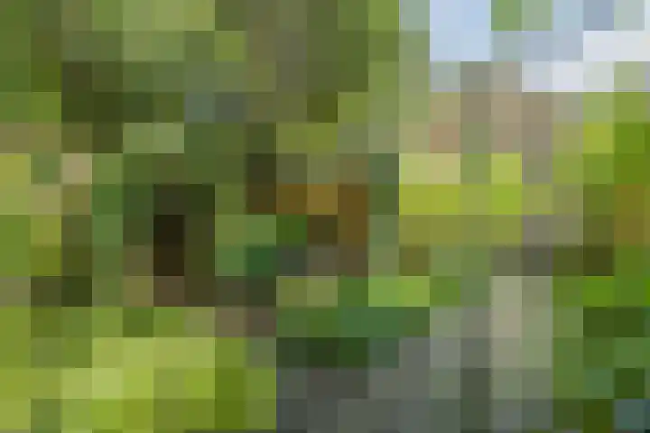 Dijkstraat 16 Nistelrode thumbnail 55