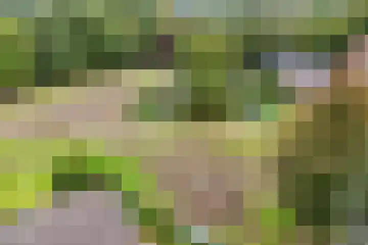 Dijkstraat 16 Nistelrode thumbnail 64