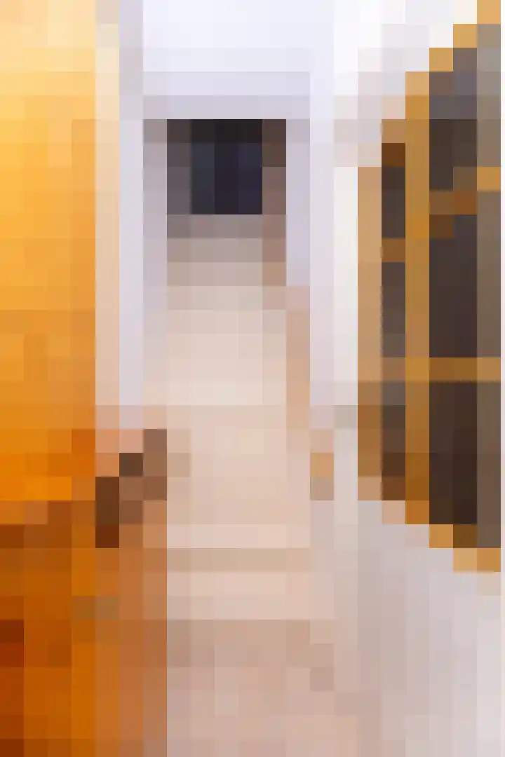 Dijkstraat 20 Den Oever thumbnail 12