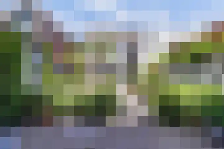 Dijkstraat 20 Honselersdijk thumbnail 34