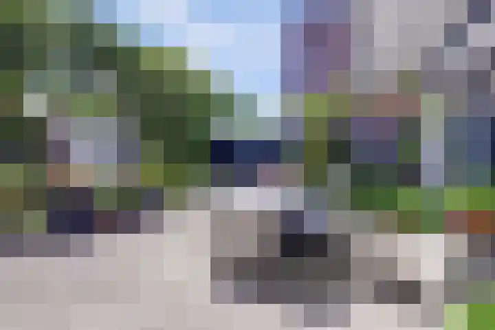 Dijkstraat 20 Honselersdijk thumbnail 35