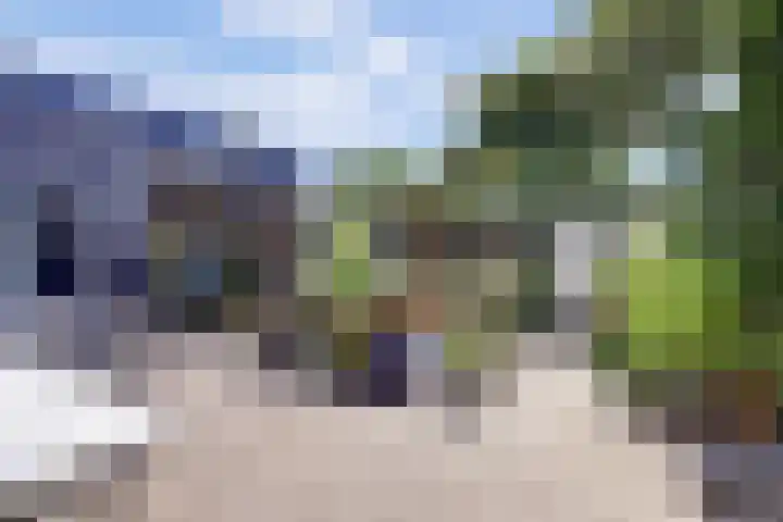 Dijkstraat 20 Honselersdijk thumbnail 36