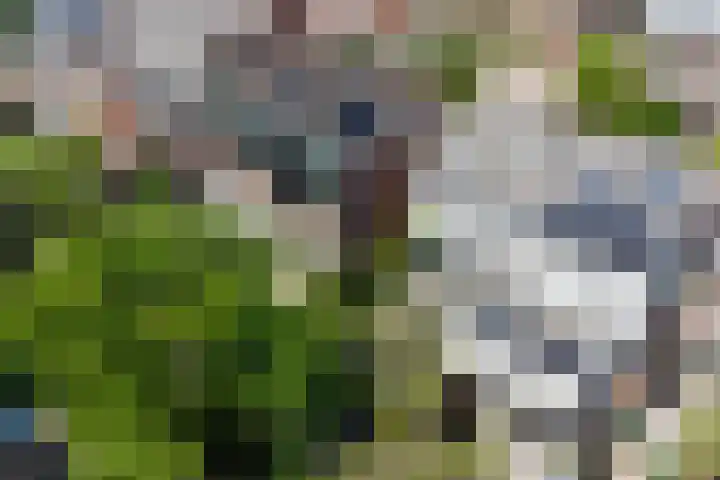 Dijkstraat 20 Honselersdijk thumbnail 41