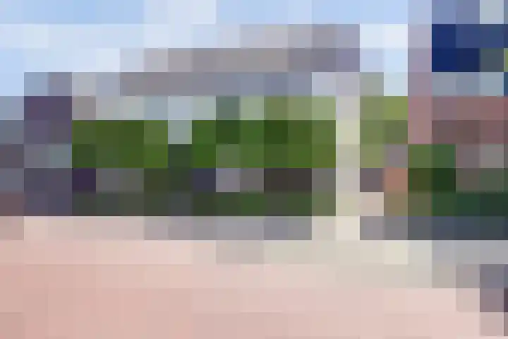 Dijkstraat 20 Honselersdijk thumbnail 45