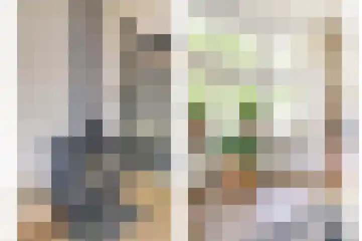 Dijkstraat 20 Honselersdijk thumbnail 9