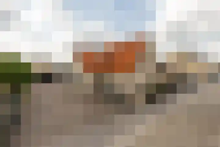 Dijkstraat 22 Sprang-Capelle thumbnail 41