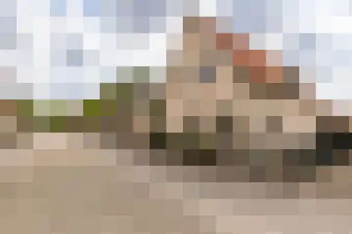 Dijkstraat 22 Sprang-Capelle thumbnail 42