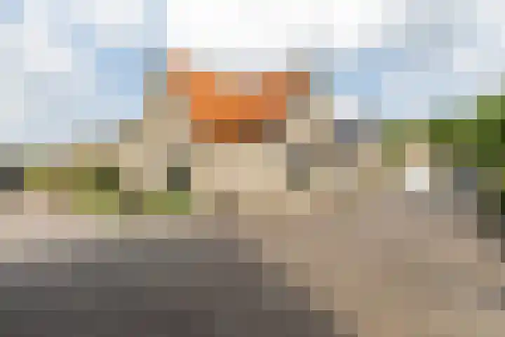 Dijkstraat 22 Sprang-Capelle thumbnail 46