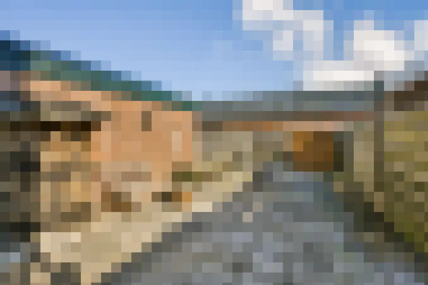 Dijkstraat 23 Den Oever thumbnail 11