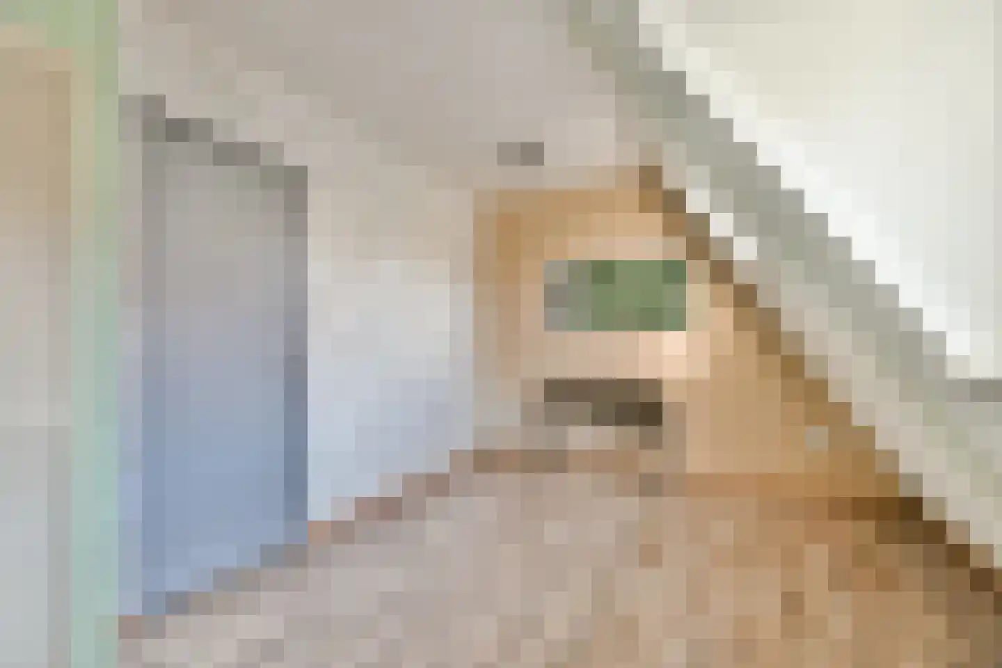 Dijkstraat 23 Den Oever thumbnail 22