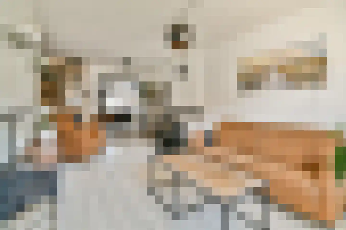Dijkstraat 23 Den Oever thumbnail 6