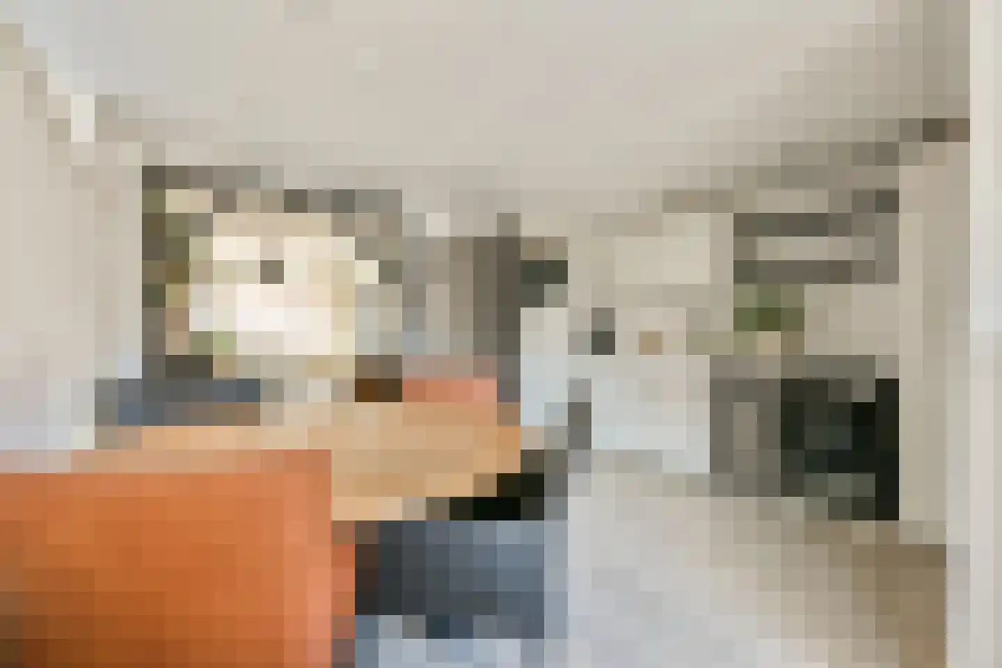 Dijkstraat 23 Den Oever thumbnail 9