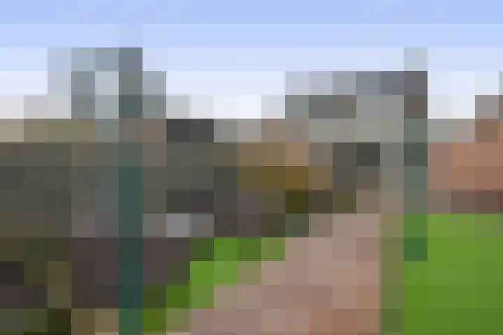 Dijkstraat 3 Sprang-Capelle thumbnail 30