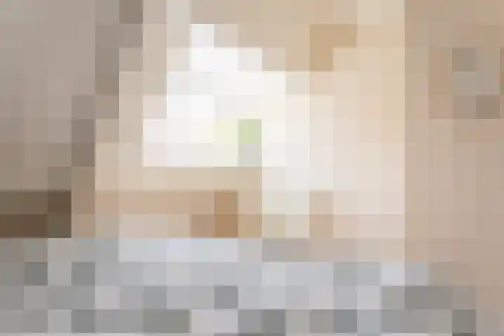 Dijkstraat 32 Den Oever thumbnail 14