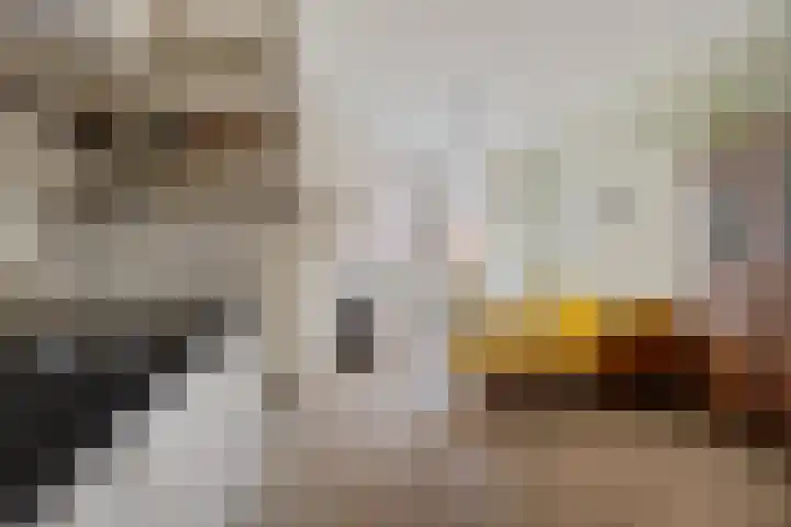 Dijkstraat 32 Kampen thumbnail 8
