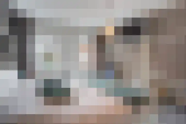 Dijkstraat 33 Honselersdijk thumbnail 31