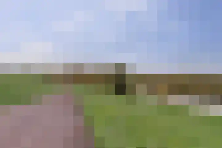 Dijkstraat 45 Gendt thumbnail 41