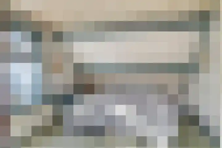 Dijkstraat 5 Bruinisse thumbnail 20
