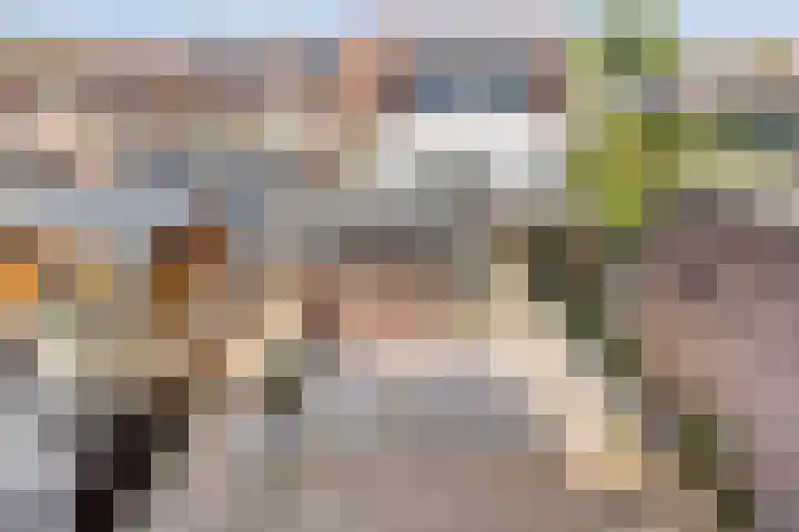 Dijkstraat 5 Bruinisse thumbnail 26