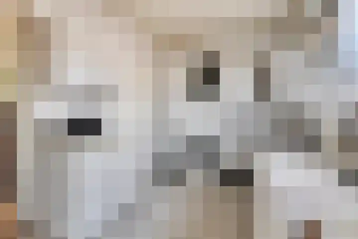 Dijkstraat 5 Bruinisse thumbnail 7