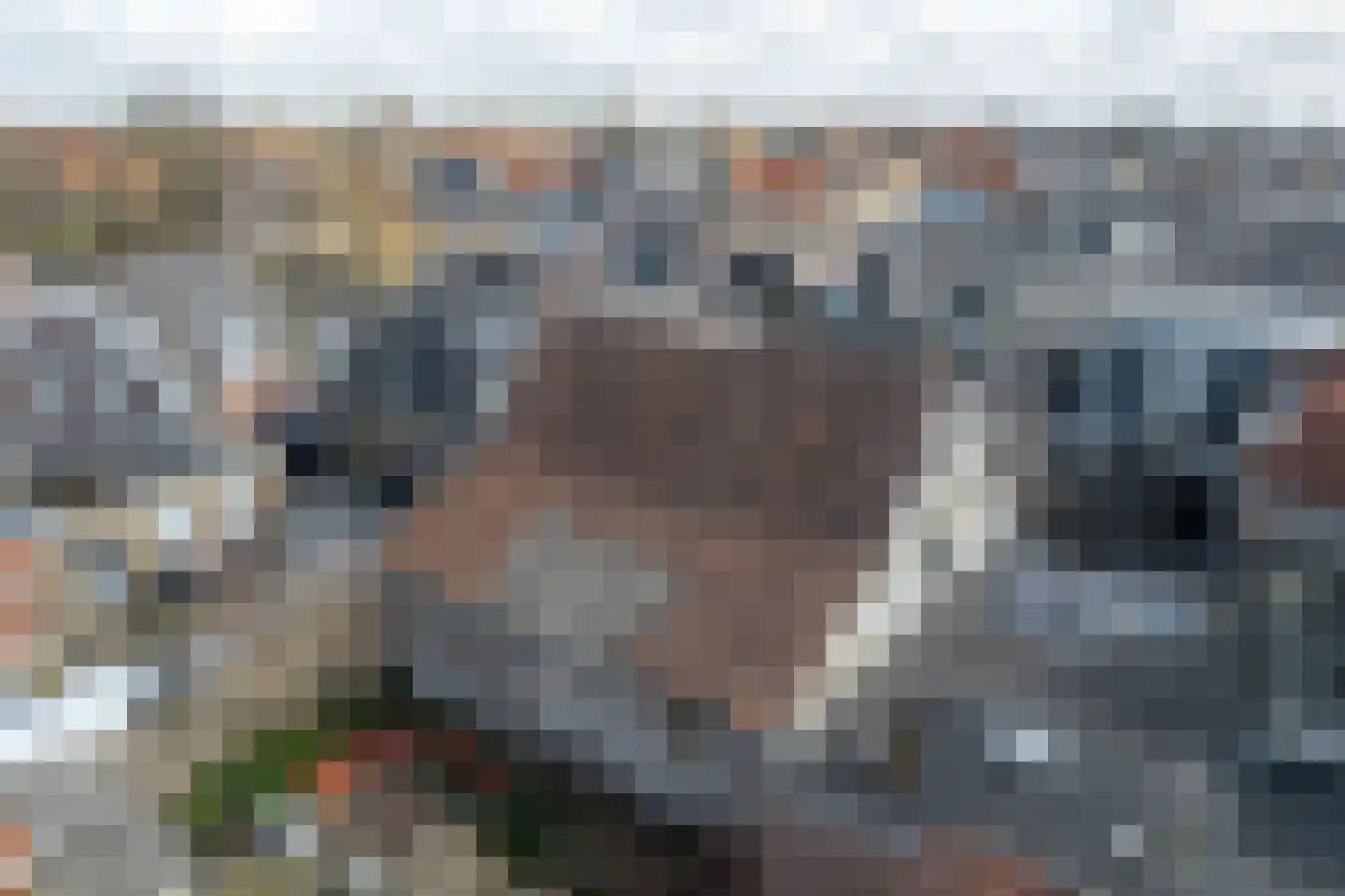 Dijkstraat 58 Franeker thumbnail 32