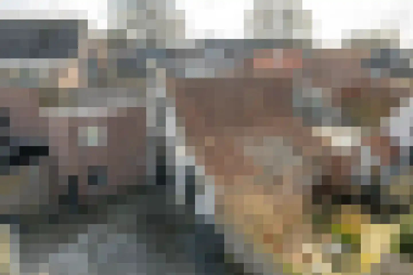 Dijkstraat 58 Franeker thumbnail 33