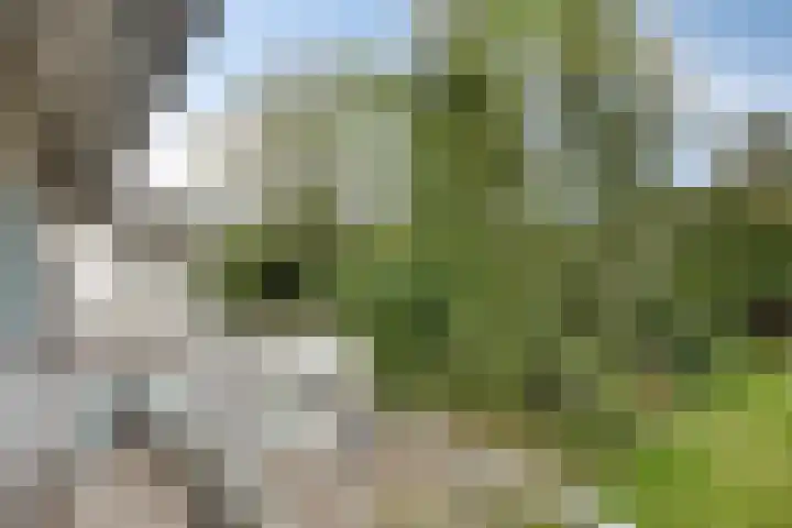 Dijkstraat 6 Asten thumbnail 29