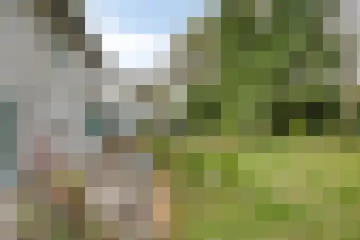 Dijkstraat 6 Asten thumbnail 38