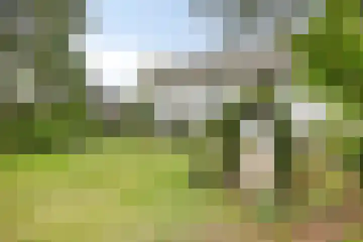 Dijkstraat 6 Asten thumbnail 42