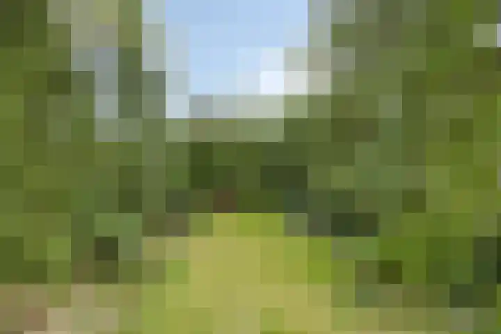 Dijkstraat 6 Asten thumbnail 49