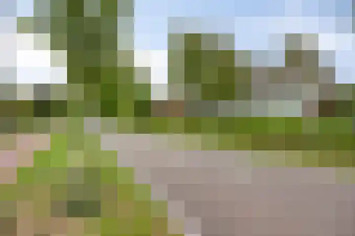 Dijkstraat 6 Asten thumbnail 53