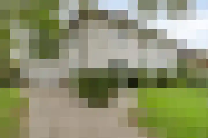 Dijkstraat 6 Asten thumbnail 56