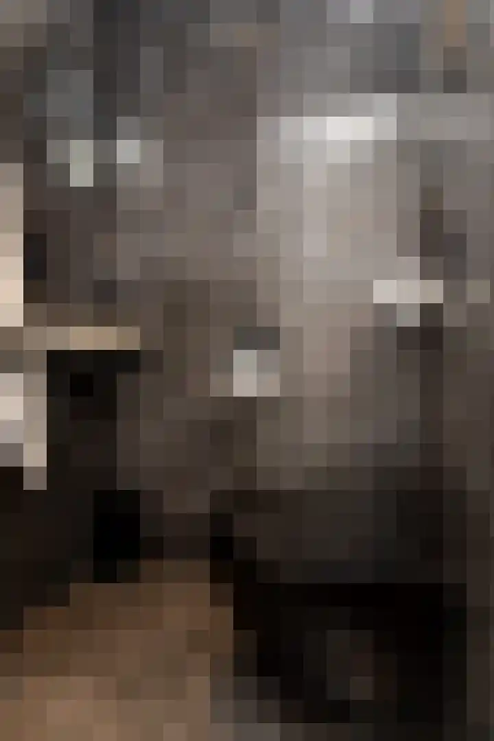 Dijkstraat 7 Den Oever thumbnail 10