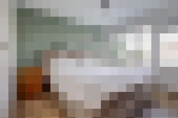 Dijkstraat 8 Well thumbnail 21