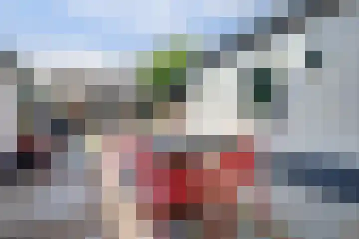 Dijkstraat 8 Well thumbnail 37