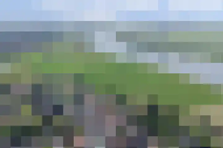 Dijkstraat 8 Well thumbnail 48