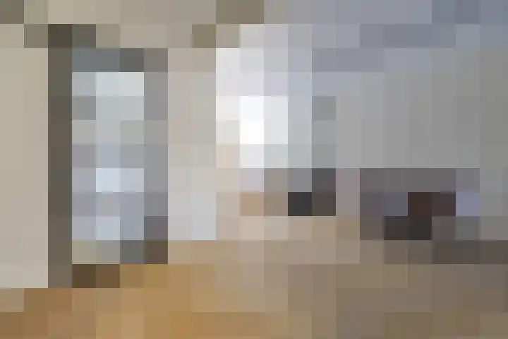 Dijkstraat 8 Well thumbnail 7