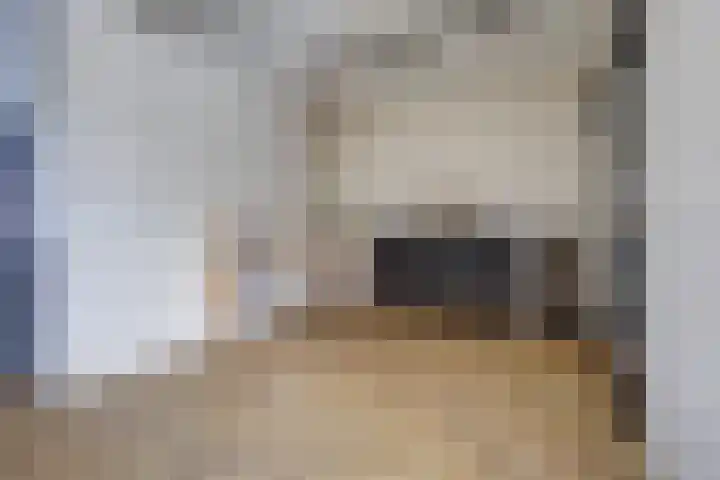 Dijkstraat 8 Well thumbnail 8