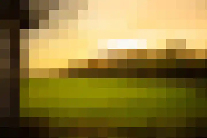 Dijkveldstraat 36 Echt thumbnail 18