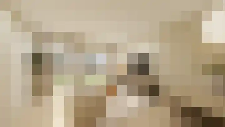 Dijkveldstraat 38 Echt thumbnail 9