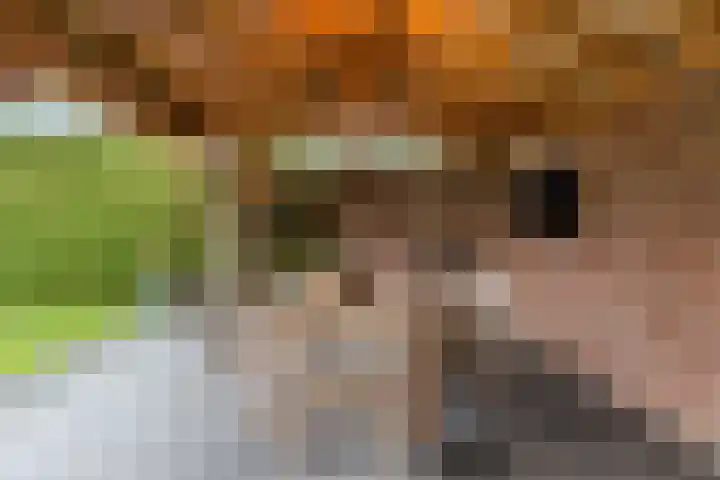 Dijkveldstraat 56 Echt thumbnail 26